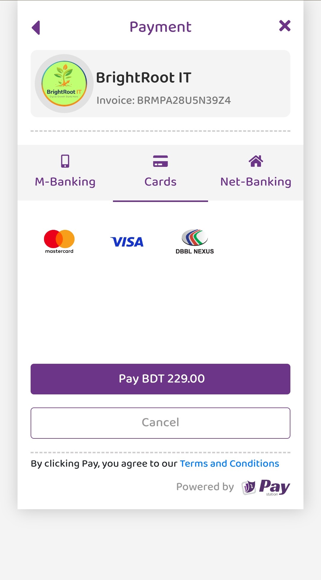 M-Banking Payment